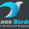 10,000 Birds &raquo; Birding