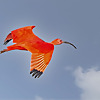 Blairbirding