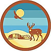 Think Wild Blog