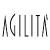 Agilit&agrave; Blog