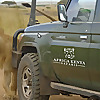 Africa Kenya Safaris Blog