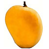 Ratnagiri Alphonso Mango Blog