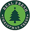 Real Fresh Christmas Trees Blog