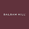 Balsam Hill Blog