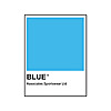 Blue Associates Sportswear Blog
