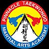Pinnacle Martial Arts Blog