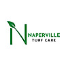 Naperville Lawn Care Blog
