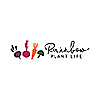 Rainbow Plant Life &raquo; Vegan Dessert Recipes
