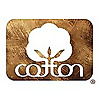 Cotton Today