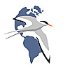 Association of Field Ornithologists Blog