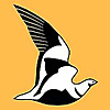 Ornithological Society Of The Middle East