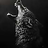 Ultrawolves Under the Full Moon Blog
