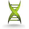 Medical X Press &raquo; Gout