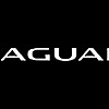 Jaguar Richmond Blog