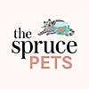 The Spruce Pets » Hamsters