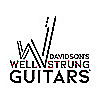 Davidson's Well Strung Guitars Blog
