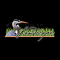 Siesta Key Landscape Blog