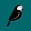 Wagtail Blog