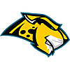 Jaguars Wire