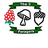 The 3 Foragers Blog