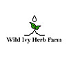 Wild Ivy Herb Farm Blog