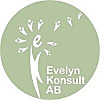 Evelyn Konsult AB Blog