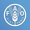 Food and Agriculture Organization of the United Nations