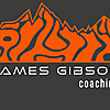 James Gibson Coaching Blog