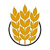Pasta Class Florence Blog