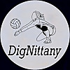 DigNittanyVolleyball.com