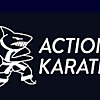 Action Karate Blog