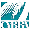 CYBRA Blog