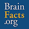 BrainFacts
