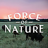 Force of Nature Meats Blog
