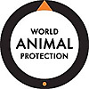 World Animal Protection Blog