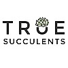 True Succulents Blog