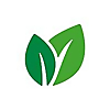Dental Herb Blog