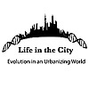 Life in the City