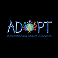 Adopt International Blog