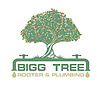 Bigg Tree Rooter Plumbing Blog
