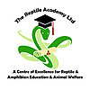 The Reptile Academy Blog