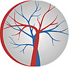 Vascular Surgery Associates Blog