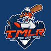 Tigers Minor League Report