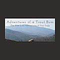 Trout Bum Blog