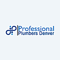 Professional Plumbers Denver Blog