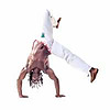 Salt Lake Capoeira & Brazilian Jiu Jitsu Blog