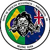 Capoeira Resistencia Blog