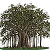 The Estate, Trust & Elder Law Firm Blog