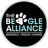 The Beagle Alliance Blog