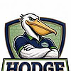 Hodge Roofing Blog